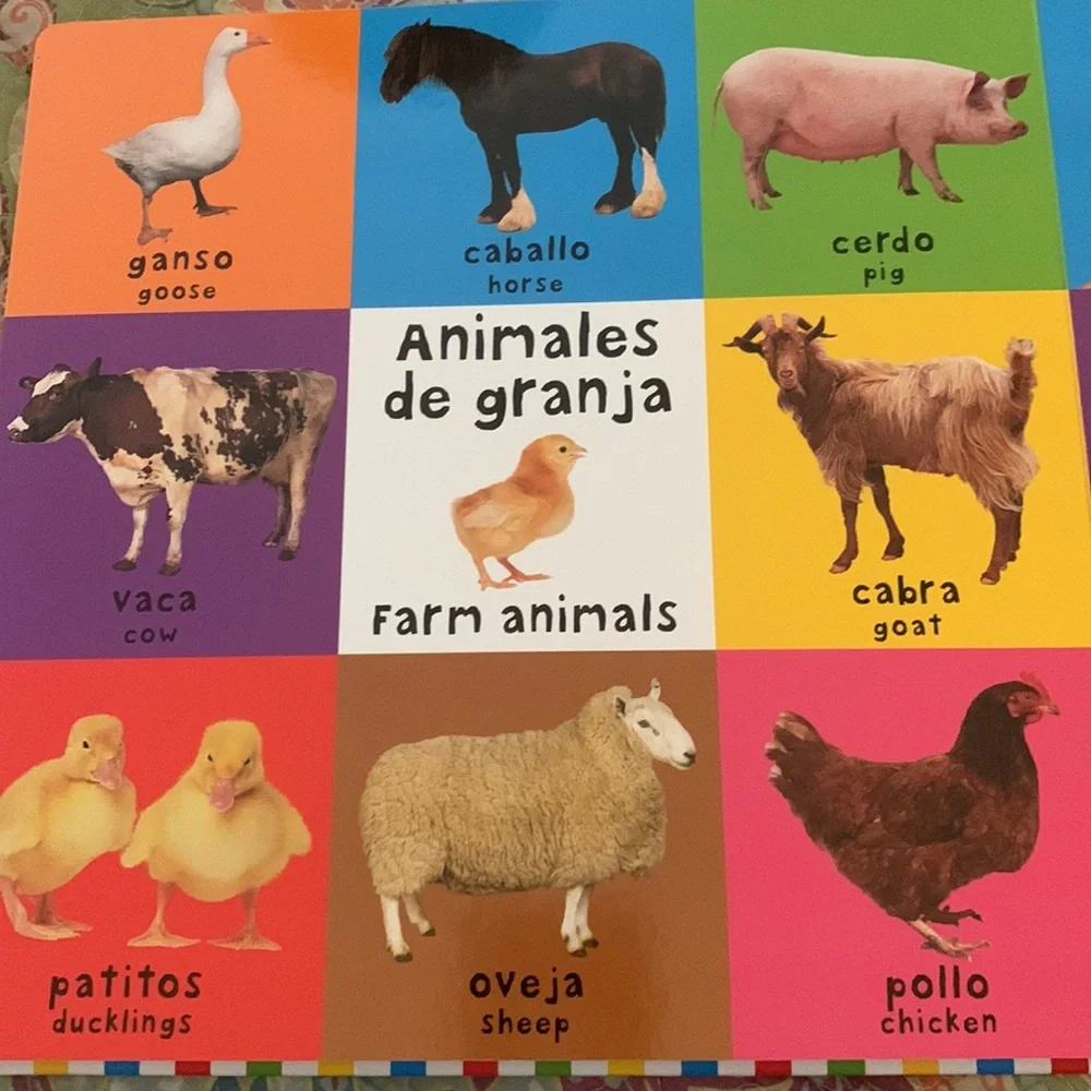 Priddy Books 100 First Primeras Words Palabras in English and Spanish